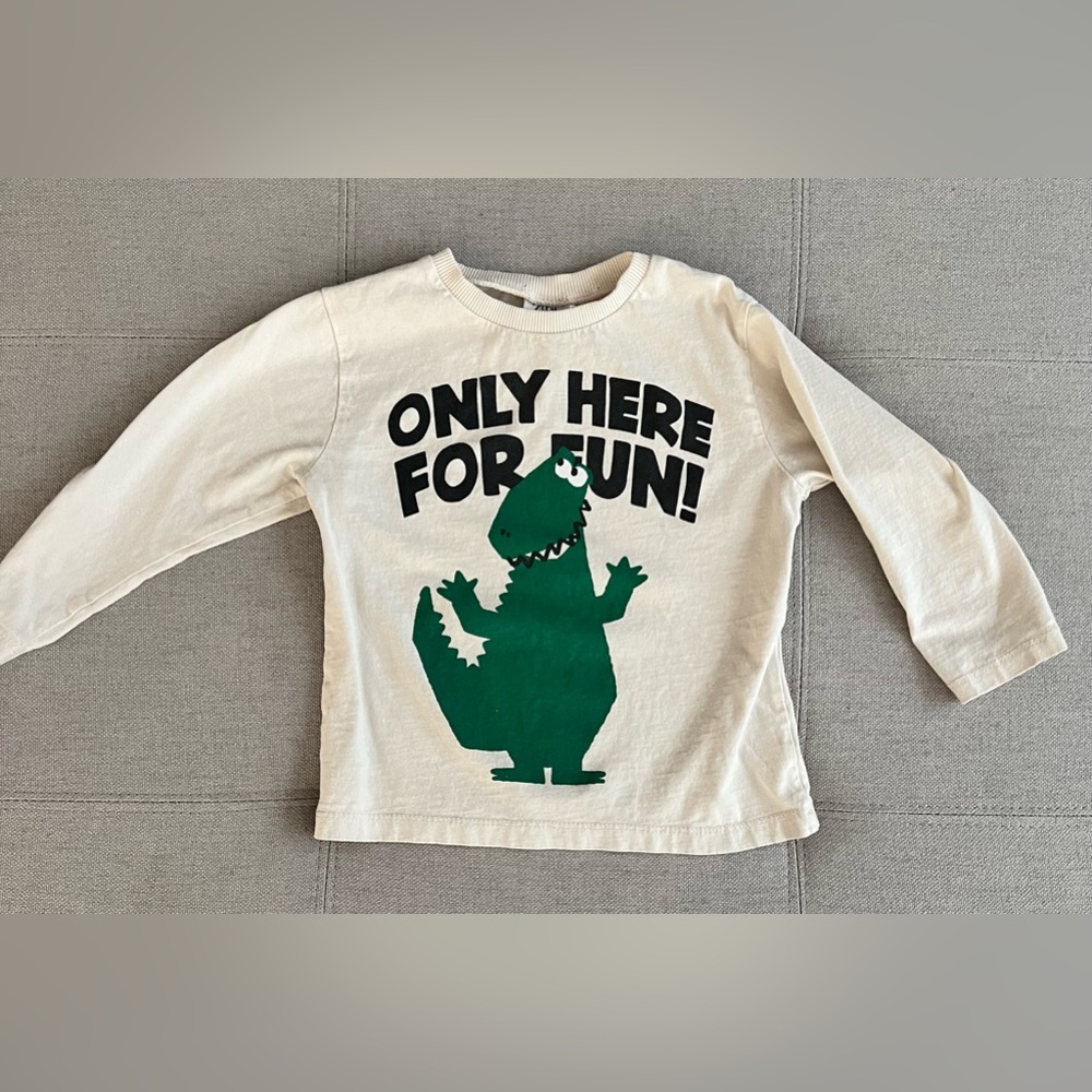 ZARA LONG SLEEVE TEE